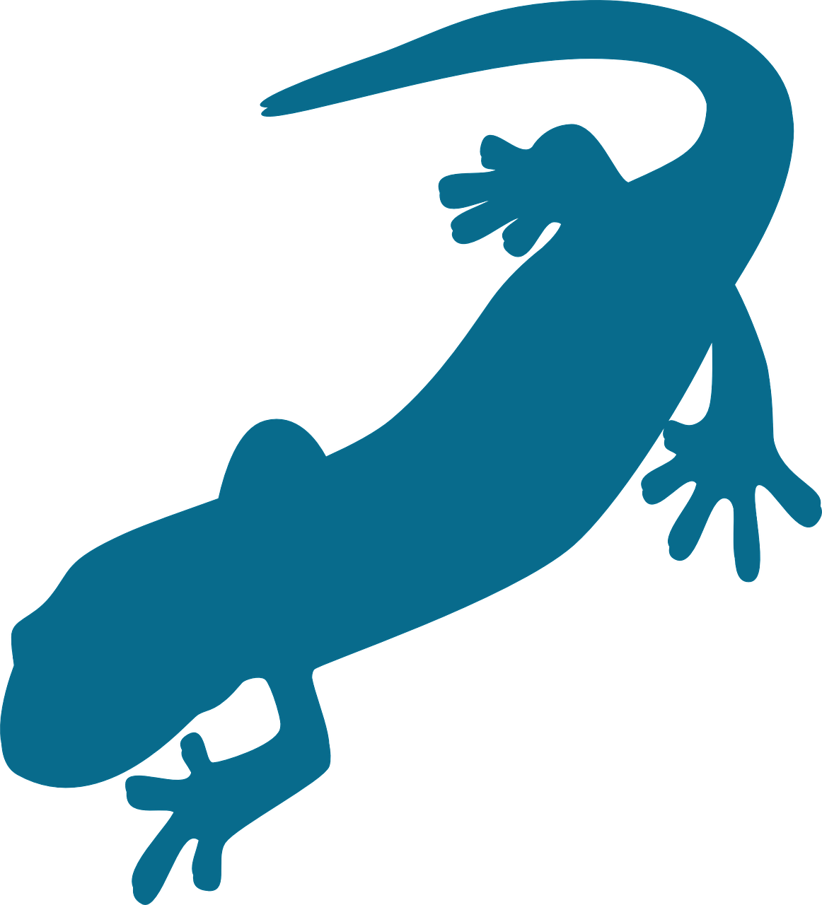 山椒魚